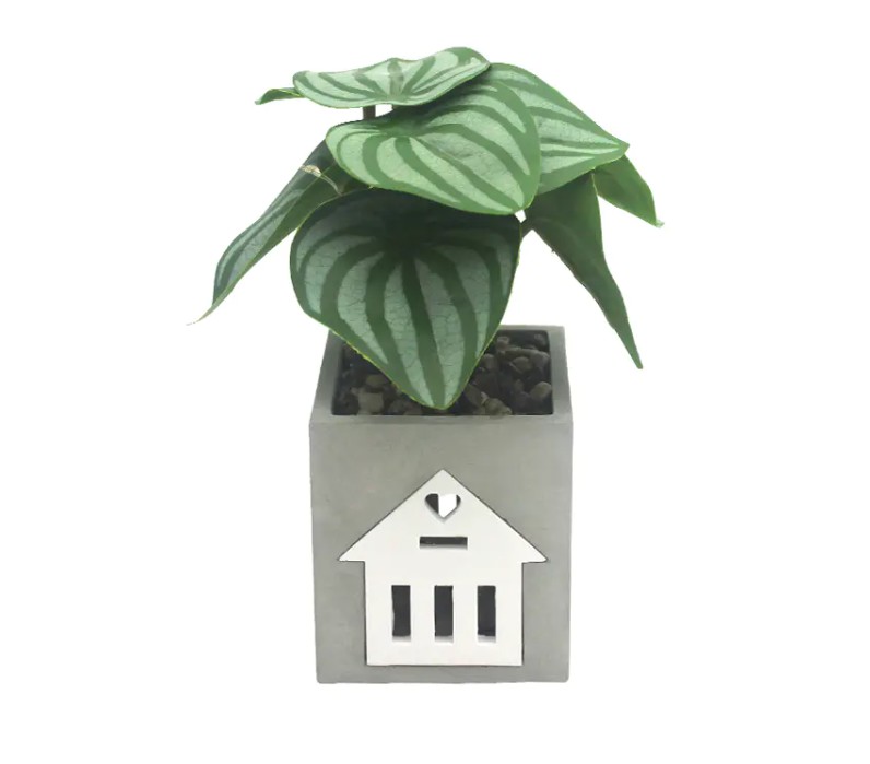 Is the LED cement lamp compatible with smart home systems,for voice control and automation?