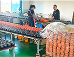 Ningbo Weizhi Electronics Co., Ltd.